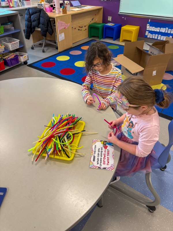 Brynnleigh Abele, left, and Marlee Catlett use 100 pipe cleaners and twisty ties for their creations in the 100 days STEM activity.